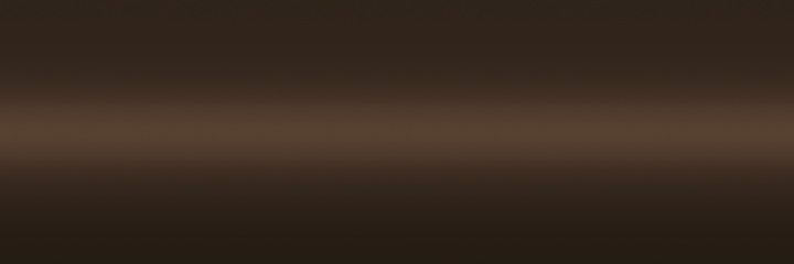 Toyota Medium Brown Metallic 4J5 color swatch