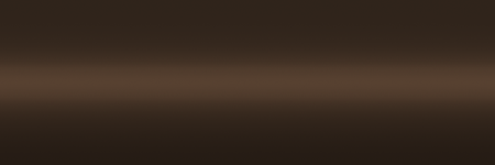 Toyota Medium Brown Metallic 4J5 color swatch