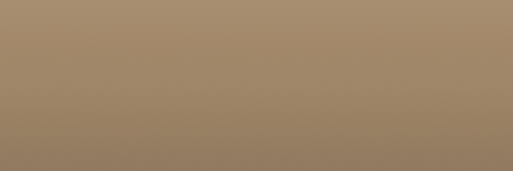 AMC Baja Bronze Metallic D3 color swatch