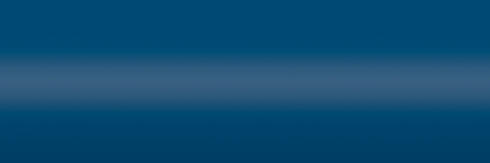 Ford Silver Spruce Metallic BN color swatch