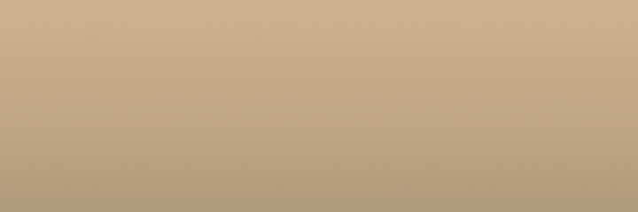 Ford Light Sandalwood 6K color swatch