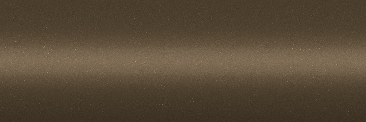 Suzuki Bronze Brown Pearl Metallic ZBM color swatch