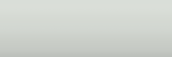 Volkswagen Branco Geada I9A color swatch