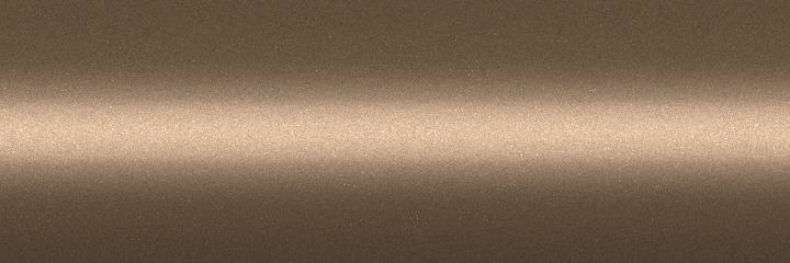 Volkswagen Birken Metallic R1W color swatch