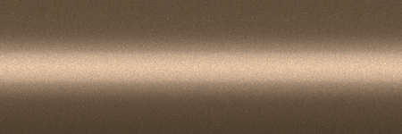 Volkswagen Birken Metallic R1W color swatch
