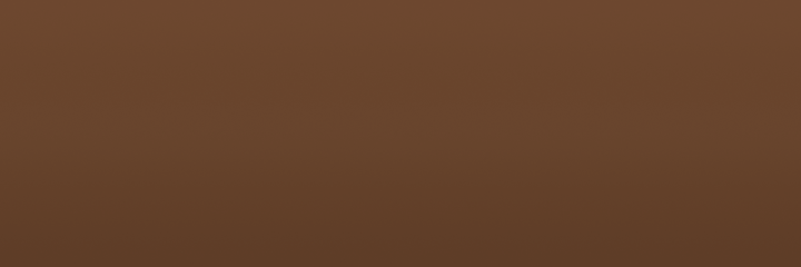 Toyota Brown 4C2 color swatch
