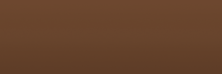 Toyota Brown 4C2 color swatch