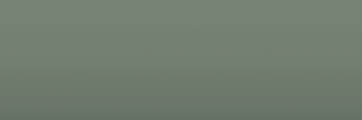 Fiat Verde Libero E Bello KGA color swatch