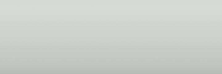 Dodge Stone Gray 160 color swatch