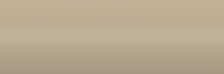 Mazda Terra Brown Metallic T1 color swatch