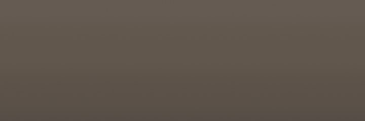 Ford Moondust Metallic 6W color swatch