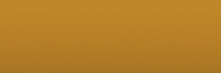 Ford Bright Silver Metallic TX color swatch