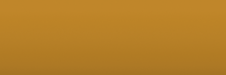 Ford Bright Silver Metallic TX color swatch