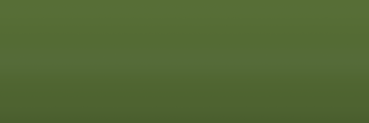 Toyota Light Olive 6A9 color swatch
