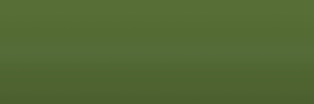 Toyota Light Olive 6A9 color swatch