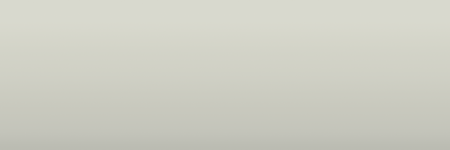 Volvo Pearl Gray 101 color swatch