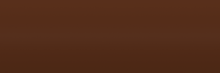 Toyota Brown  Matte X25S color swatch
