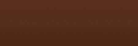 Toyota Brown  Matte X25S color swatch