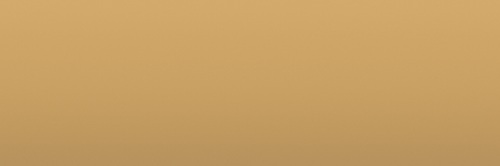 Ford Yellow M6195 color swatch