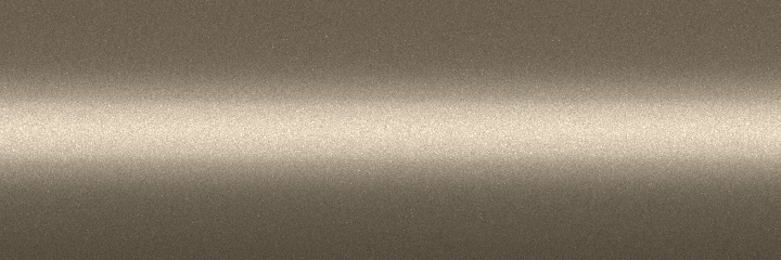 Nissan Light Gold Metallic EM0 color swatch