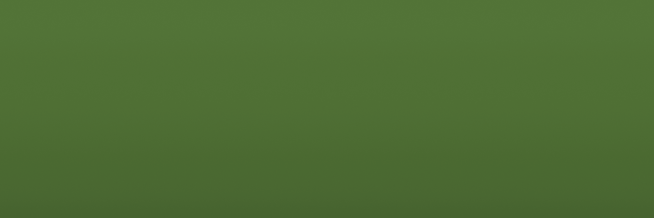 Volvo Green 98746 color swatch