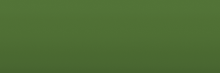 Volvo Green 98746 color swatch