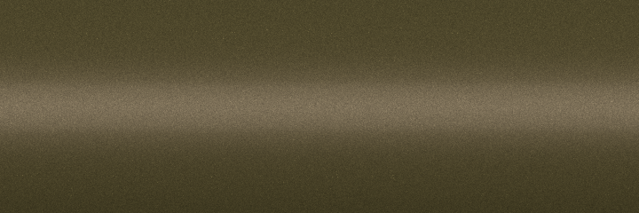 Toyota Offbeat Khaki Metallic G55 color swatch