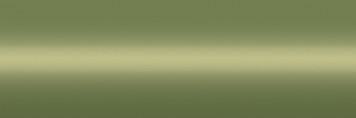 Ford Astor Gray Metallic 574 color swatch