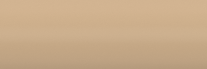 Suzuki Atlas Beige ZL5 color swatch