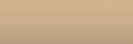 Suzuki Atlas Beige ZL5 color swatch