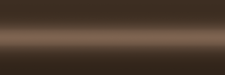 Nissan Brown Metallic CG0 color swatch
