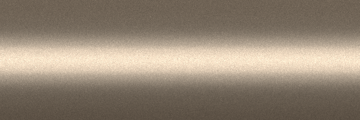 BMW Cashmere Beige Metallic 301 color swatch