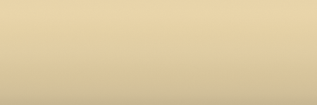 Ford Chestnut Bronze Metallic Y color swatch