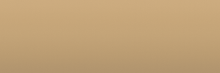 Dodge Cashmere Tan VT5 color swatch