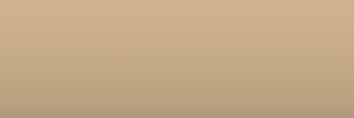 Ford Desert Tan Metallic 9N color swatch