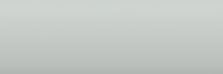 Fiat Gray 614 color swatch