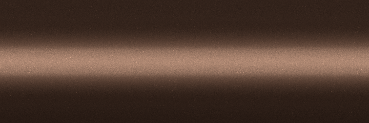 Toyota Precious Bronze Metallic 4Y6 color swatch