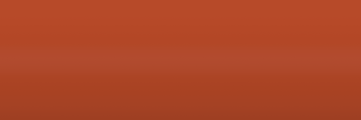 Toyota Magma 4W2 color swatch