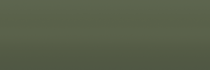 Saab Olive Green GN5 color swatch