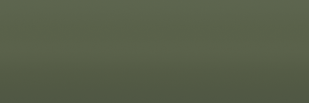 Saab Olive Green GN5 color swatch