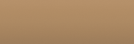 Chrysler Natural Suede Tan TT4 color swatch