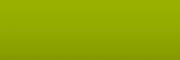 Jeep Gecko KFM color swatch