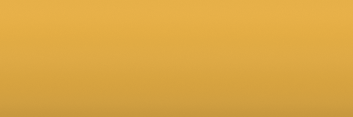Nissan Yellow E60 color swatch