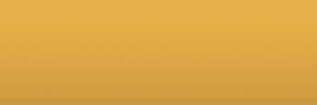 Nissan Yellow E60 color swatch