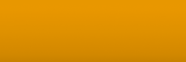 Volkswagen Holland Gelb N1E color swatch