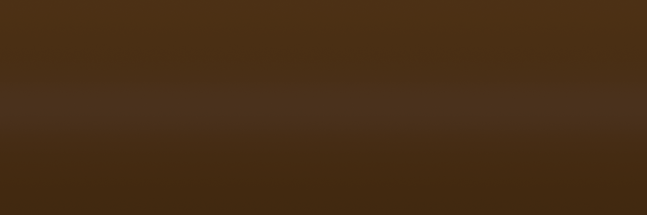 Volkswagen Achatbraun 86Z color swatch
