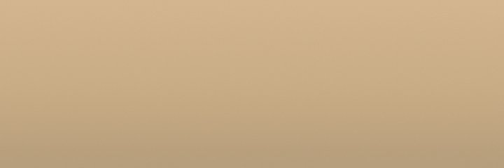 Toyota Desert Tan 4J9 color swatch
