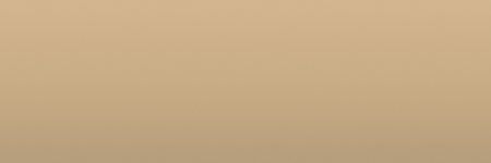 Toyota Desert Tan 4J9 color swatch