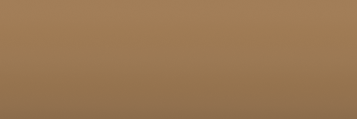 Mercedes-Benz Sandbraun 8469 color swatch