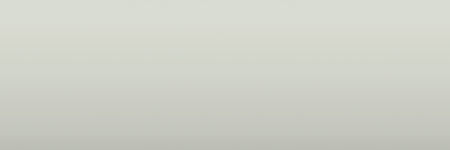 Jeep Alpine White 296 color swatch